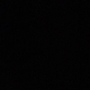 Meet your Posher, Latorrya